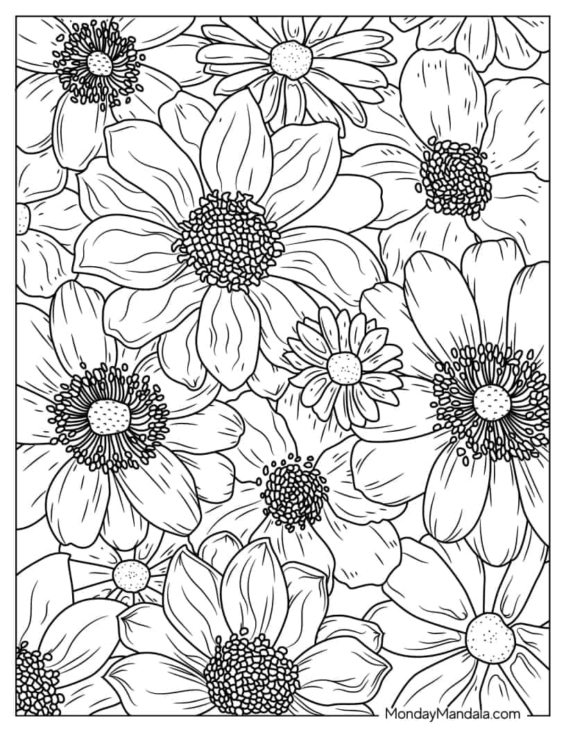 Full Page Of Detailed Daisies To Color coloring page