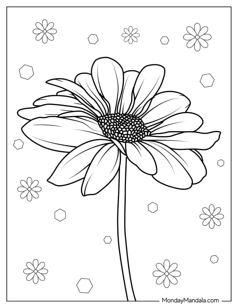 Gerbera Daisy Coloring Page coloring page