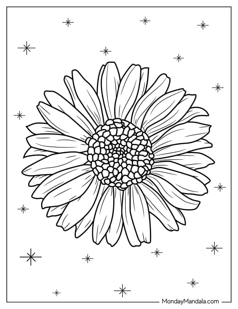 Realistic Daisy Flower To Color coloring page