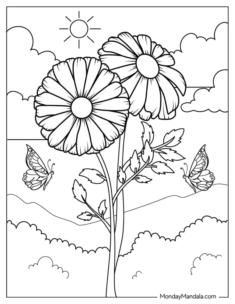 Realistic Daisy Flowers In The Wild coloring page