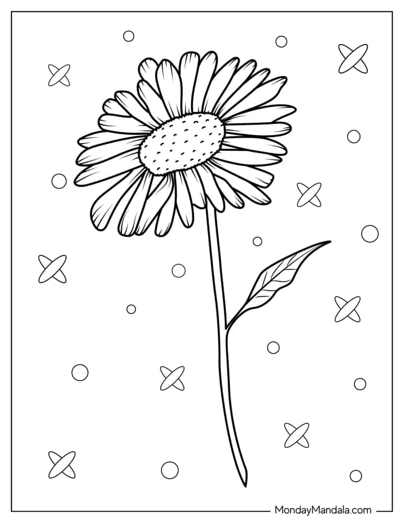 Simple Outline Of a Daisy To Color coloring page