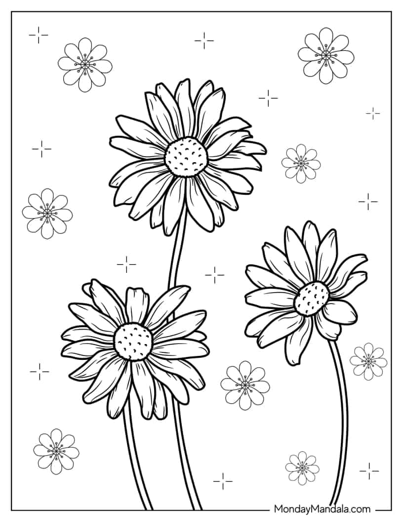 Three Spring Daisy Flowers coloring page