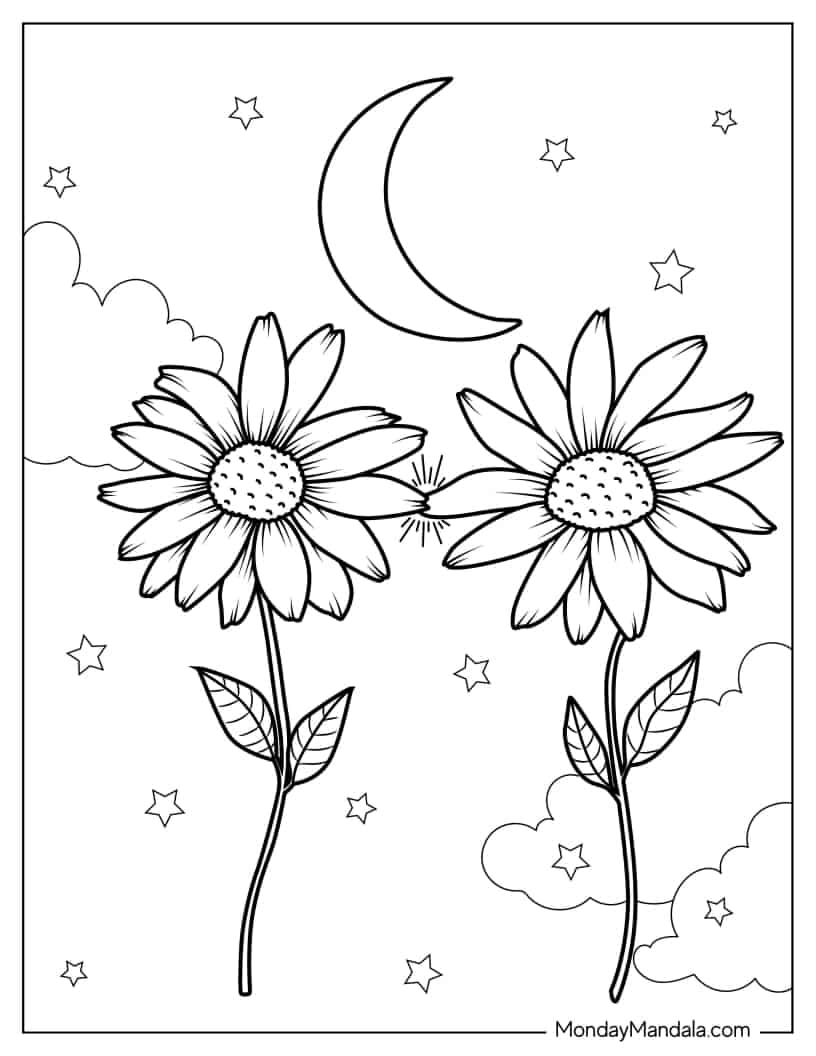 Two Daisies Touching Petals coloring page