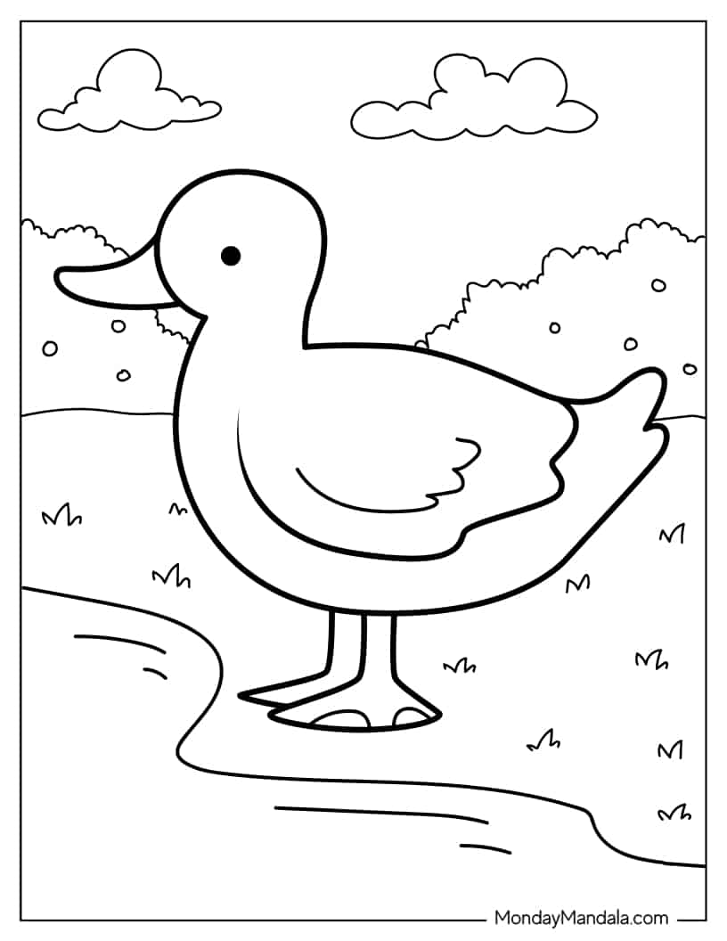 Duck Going To Pond On Farm To Color coloring page
