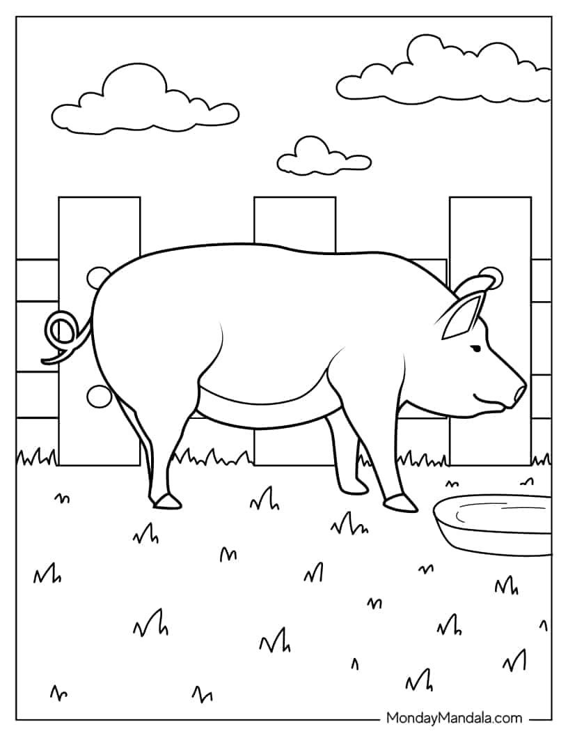 Farm Bred Pig To Color coloring page — printable line art