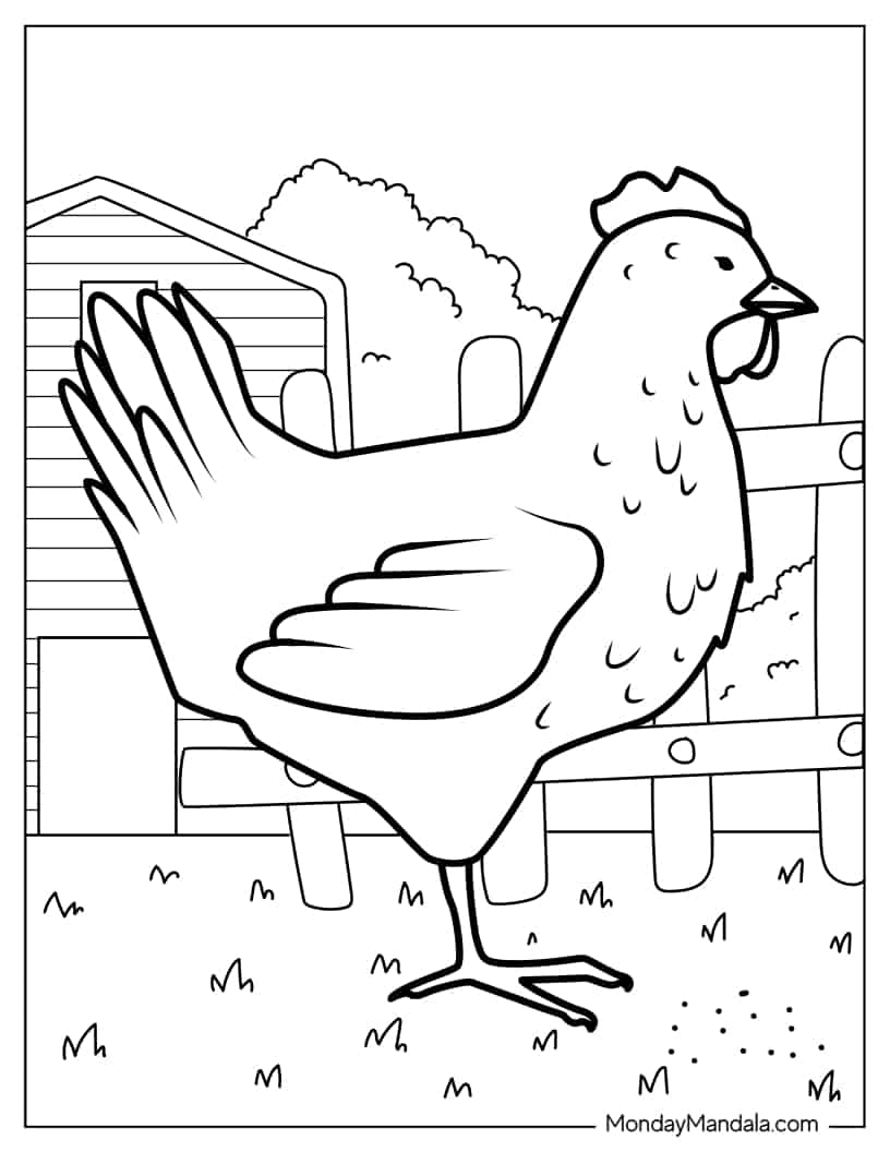 Farm Chicken To Color coloring page — printable line art