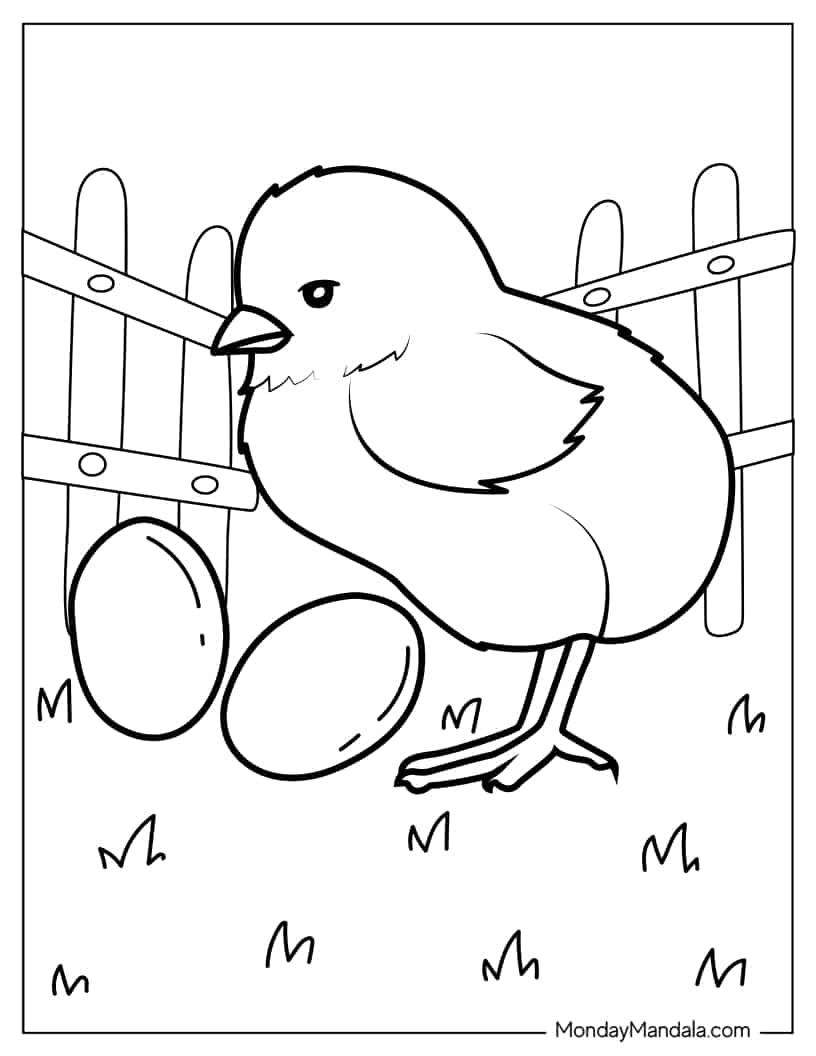 Hatched Chick On Farm To Color coloring page