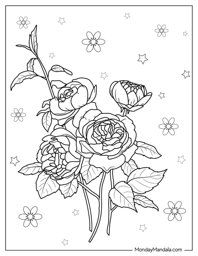 Assorted Wild Roses To Color coloring page