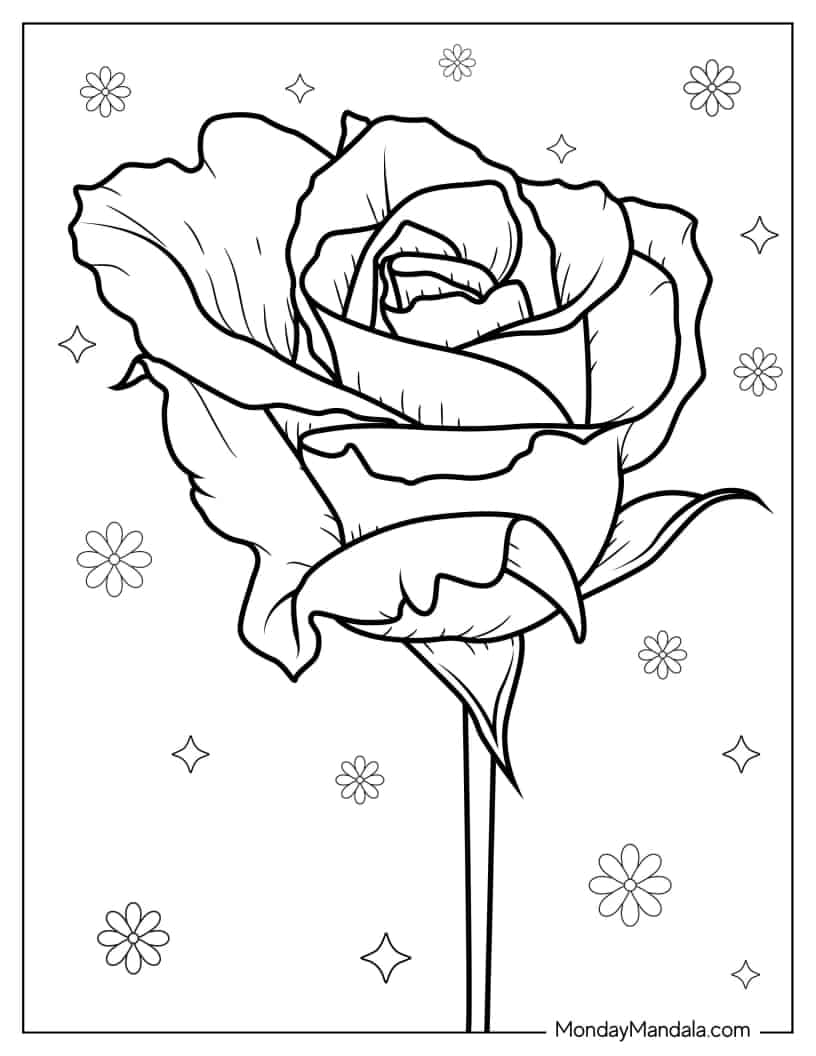 Head Of a Rose With Detailed Petals coloring page — printable line art