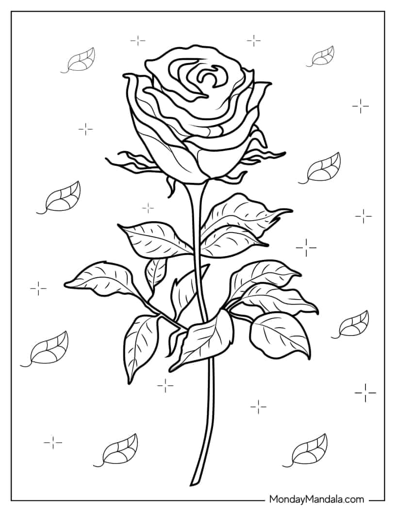 Realistic Rose Coloring Page coloring page