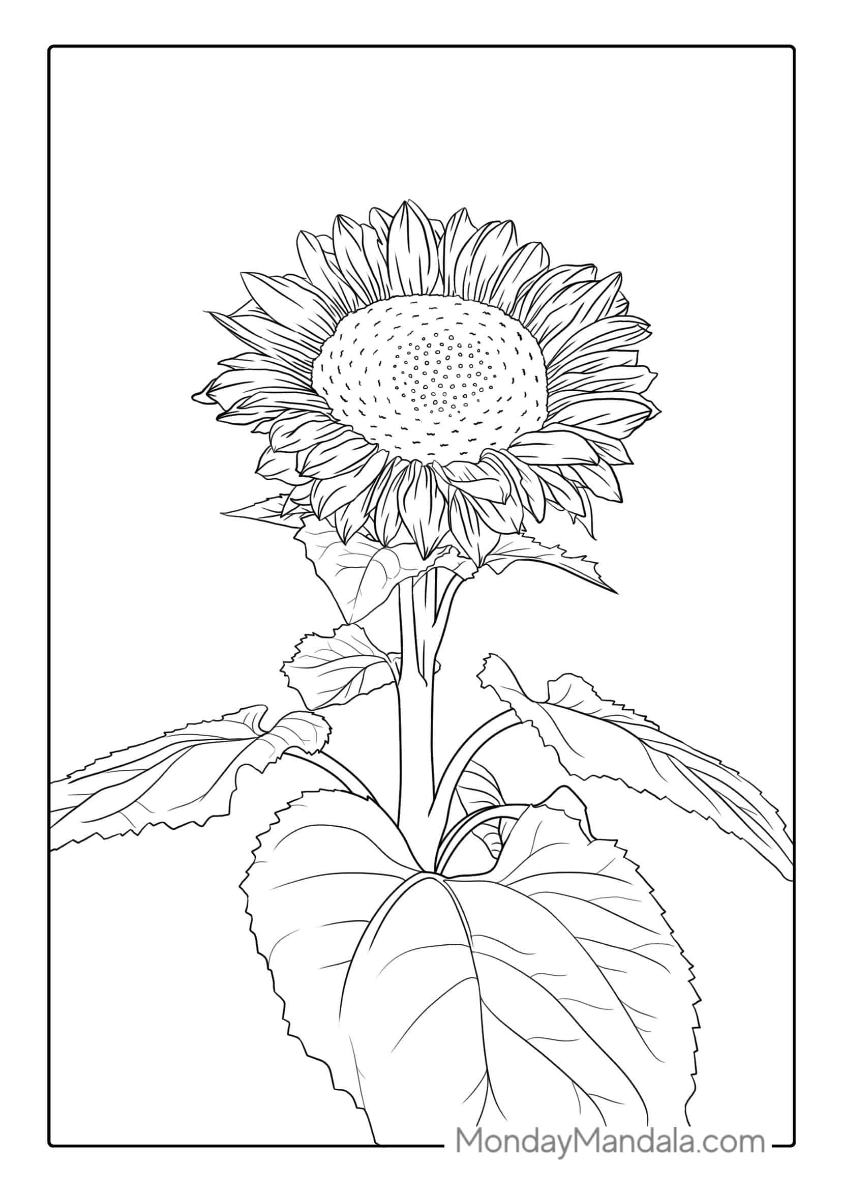 Detailed Coloring Page For Adults coloring page