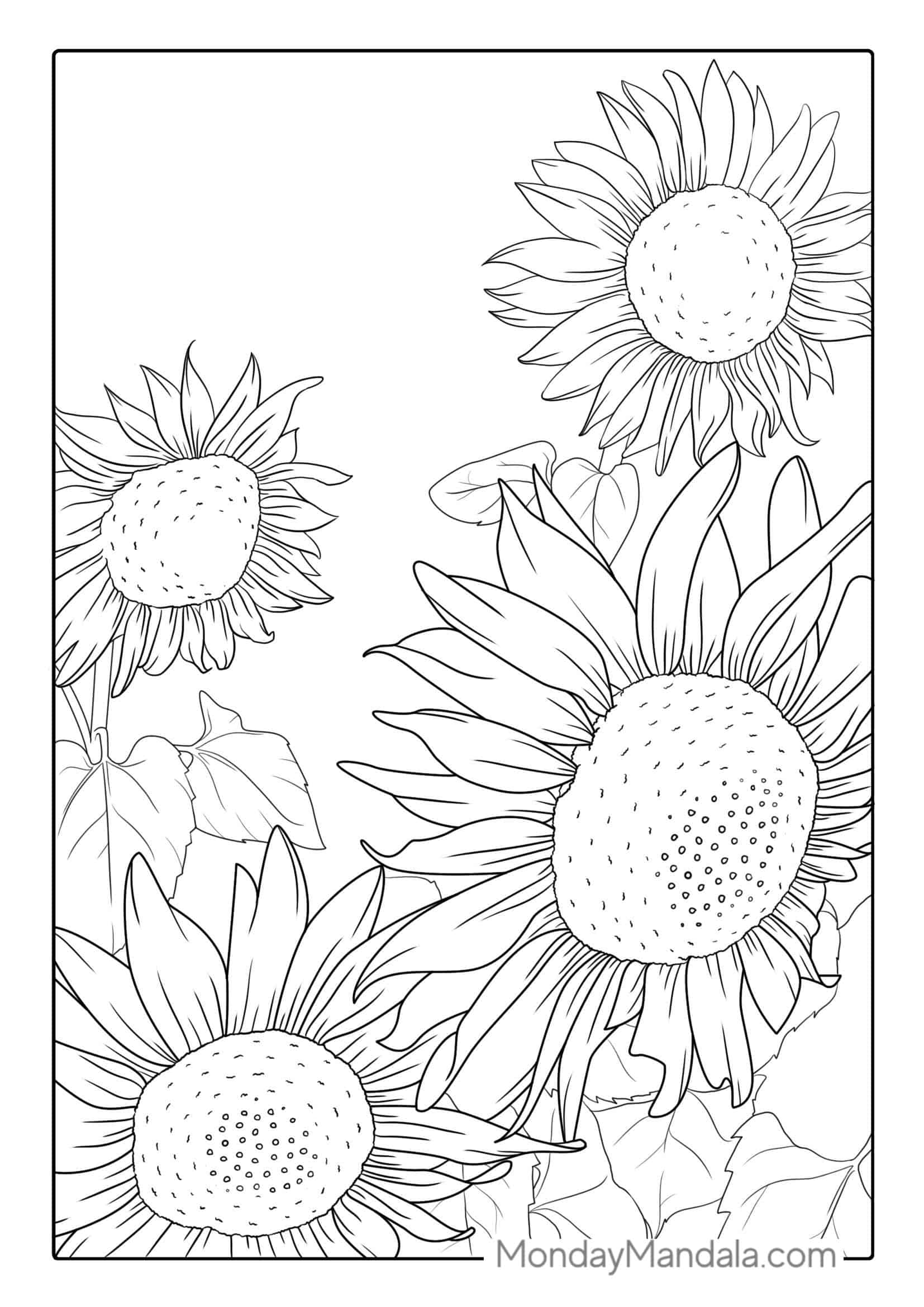 Multiple Sunflowers In Field Coloring Page coloring page — printable line art