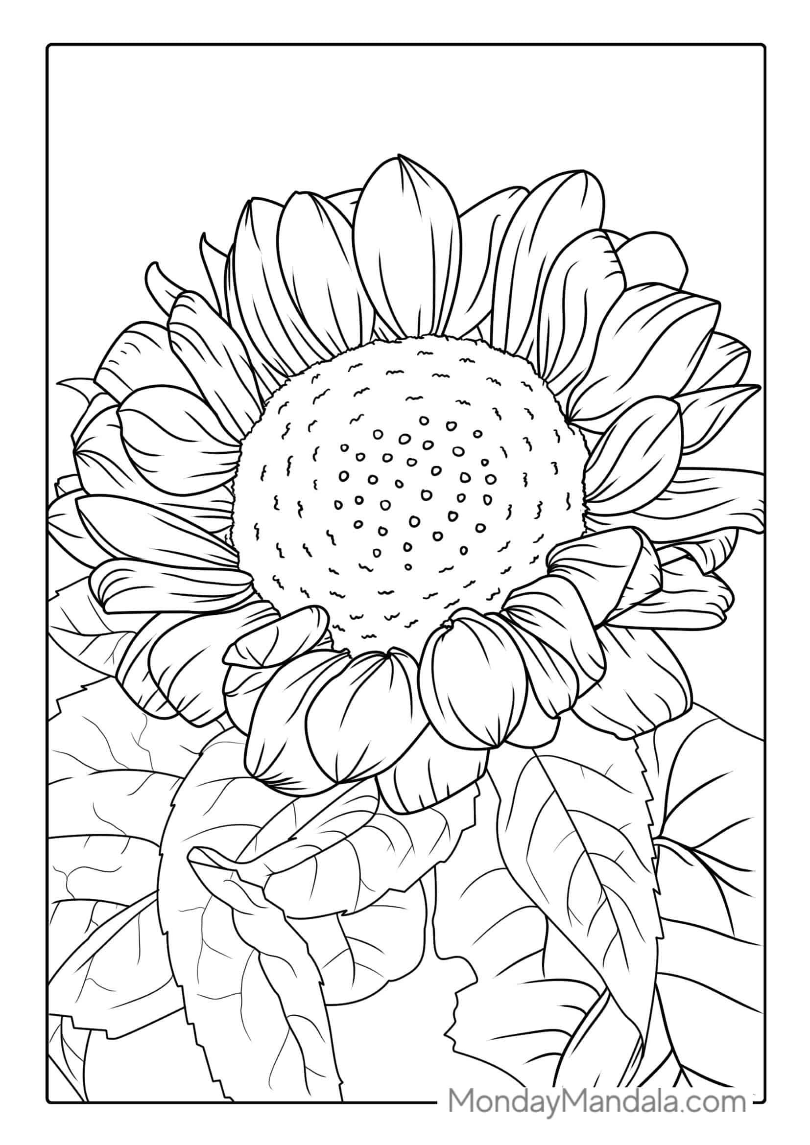 Sunflower Surrounded By Leaves coloring page — printable line art