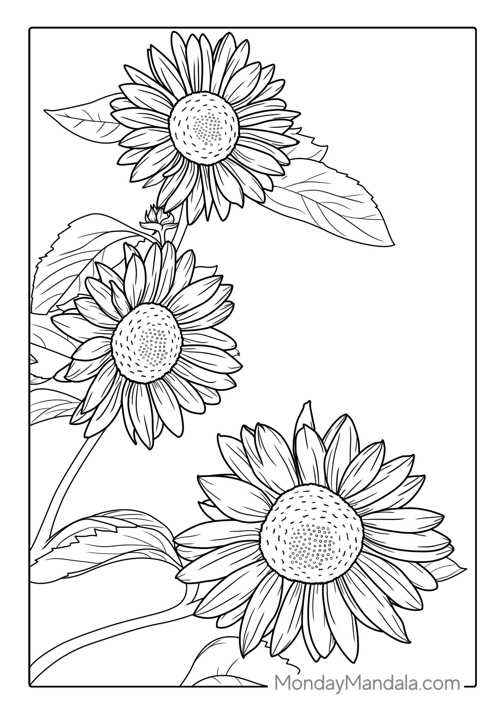 Sunflowers Blowing In The Wind For Coloring coloring page — printable line art