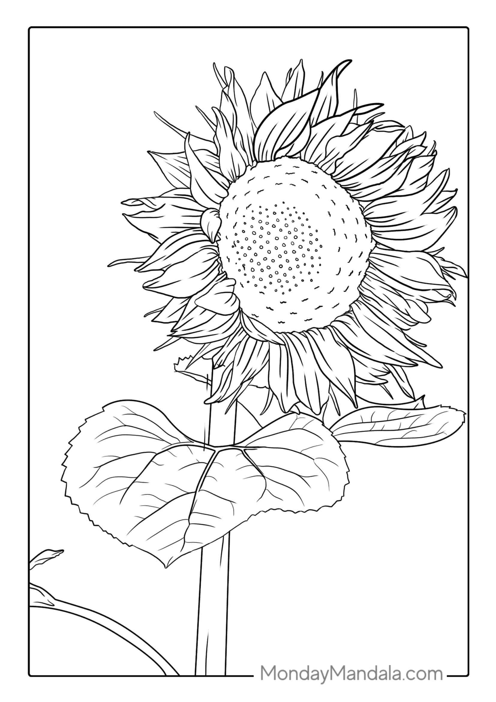 Ultra Fine Sunflower Coloring Sheet coloring page — printable line art