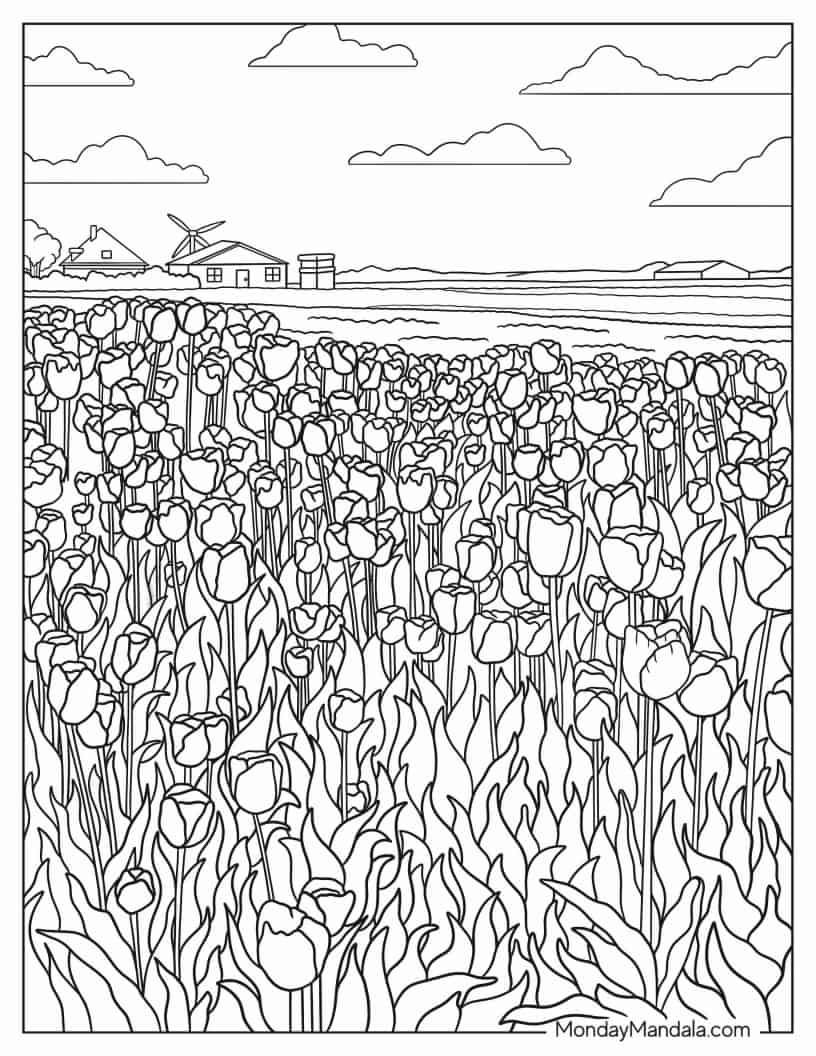 Detailed Tulips Growing In Field With Barn coloring page