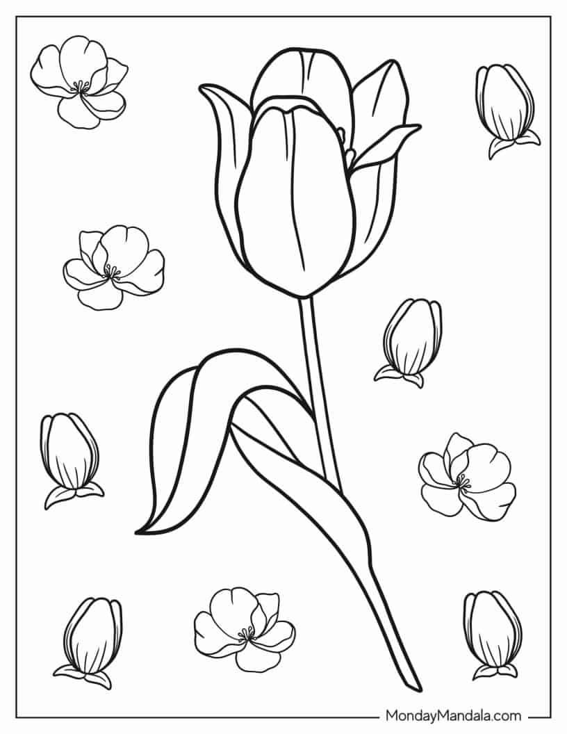 Easy Outline Of a Single Tulip coloring page