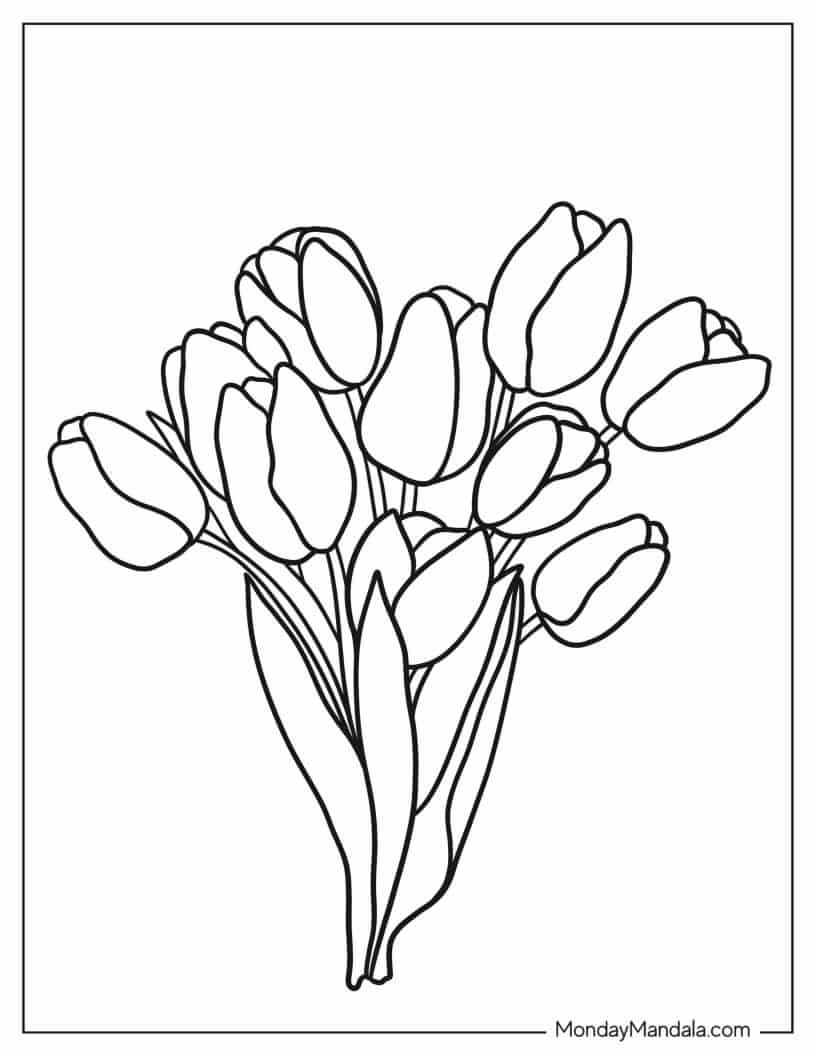 Freshly Picked Tulips coloring page — printable line art