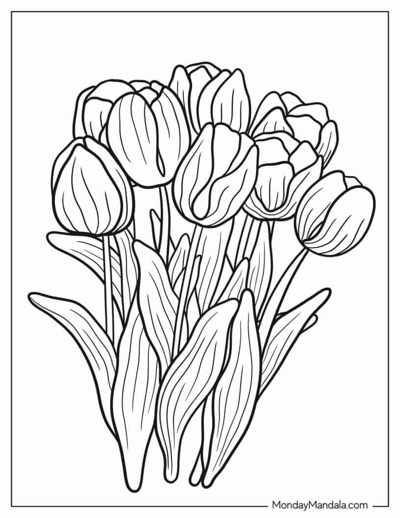 Simple To Color Tulips For Kids coloring page
