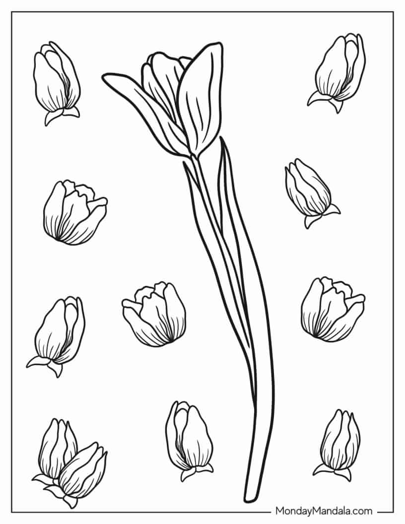 Simple Tulip Flower Coloring Page coloring page — printable line art