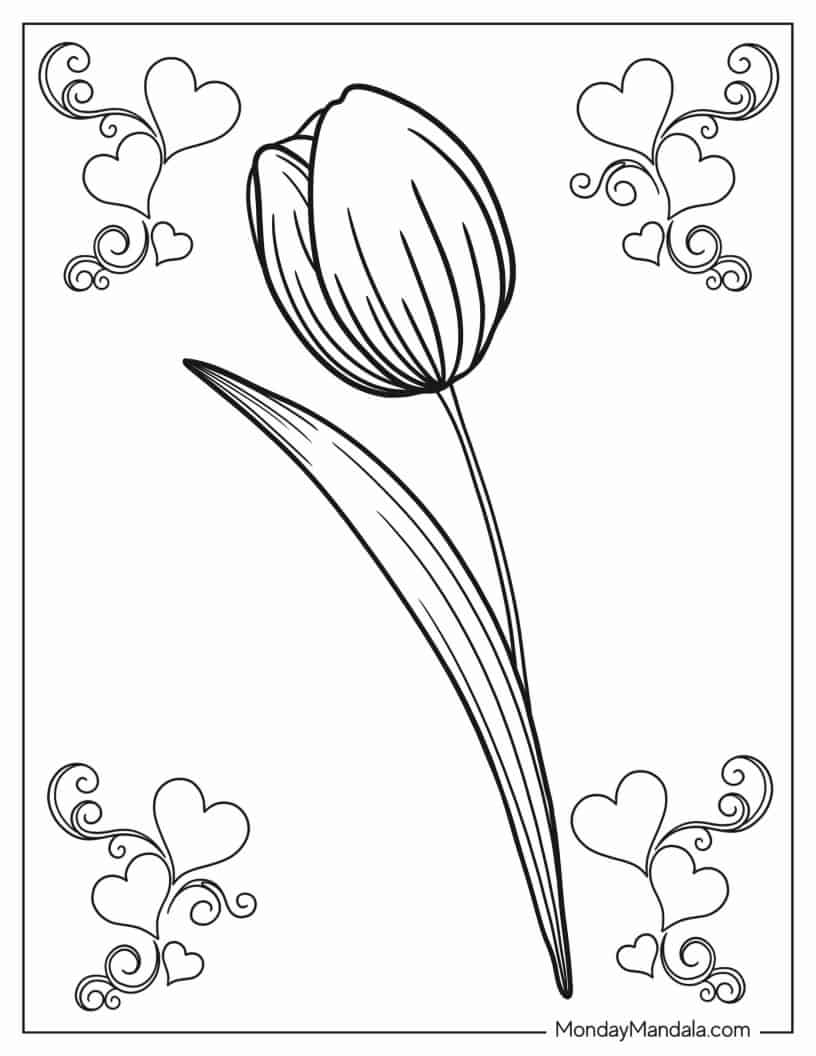 Single Tulip Flower To Color coloring page — printable line art