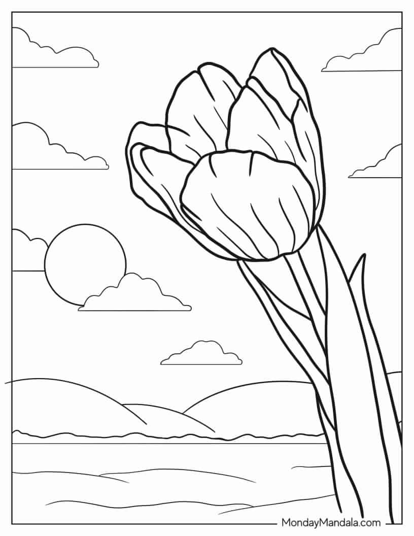 Tulip Flower Growing In The Sun coloring page — printable line art