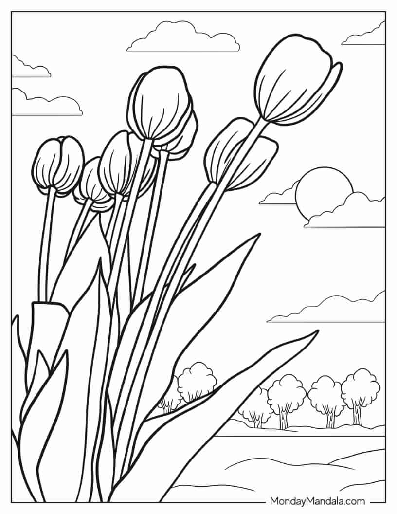 Tulips Growing In The Wild coloring page