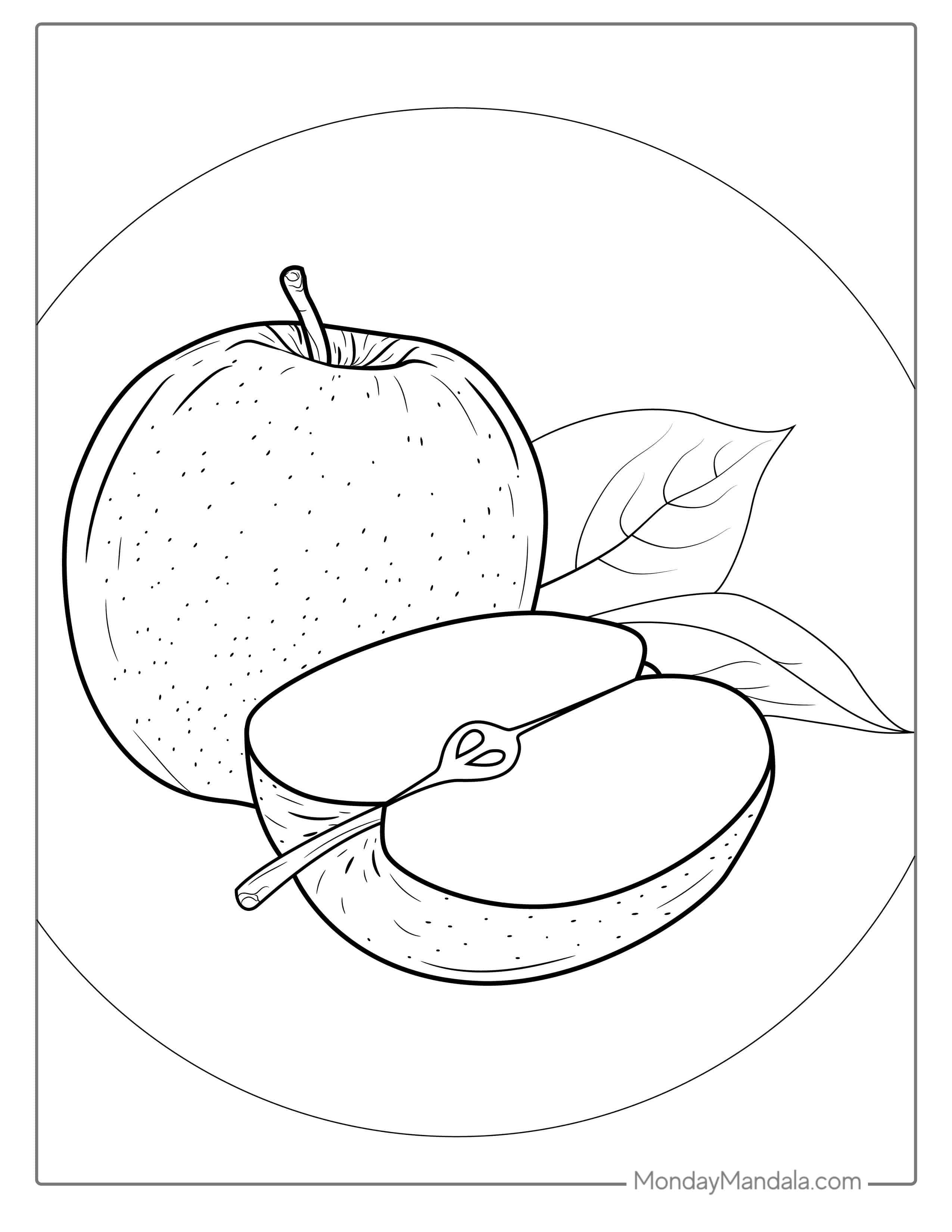 Delicious Honey Crisp Apple Coloring Page coloring page