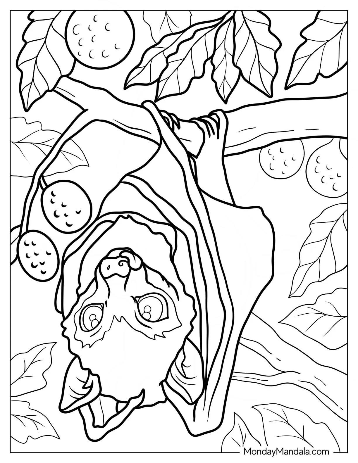 Close Up Of Realistic Bat Coloring Page Roosting On Fruit Tree coloring page