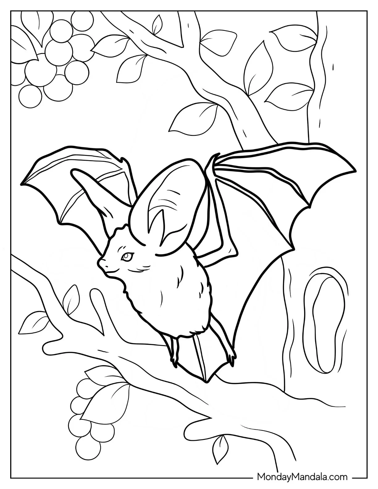 Fruit Bat Coloring Page Flying coloring page — printable line art