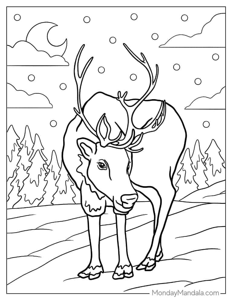 Christmas coloring page of  Realistic Reindeer coloring page