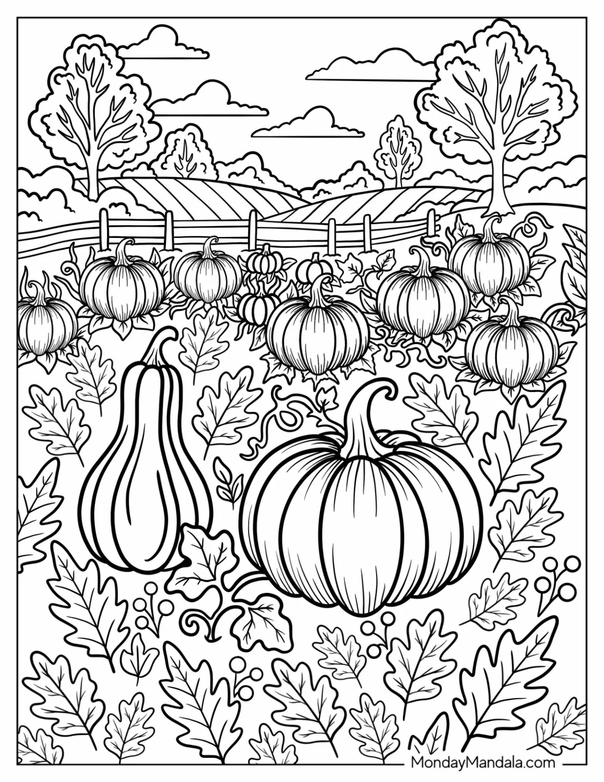 Fall Harvest with Pumpkins and Gourds Coloring Sheet coloring page — printable line art