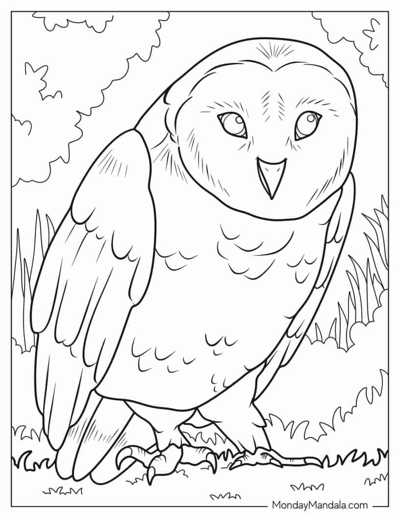 Barn Own To Color coloring page