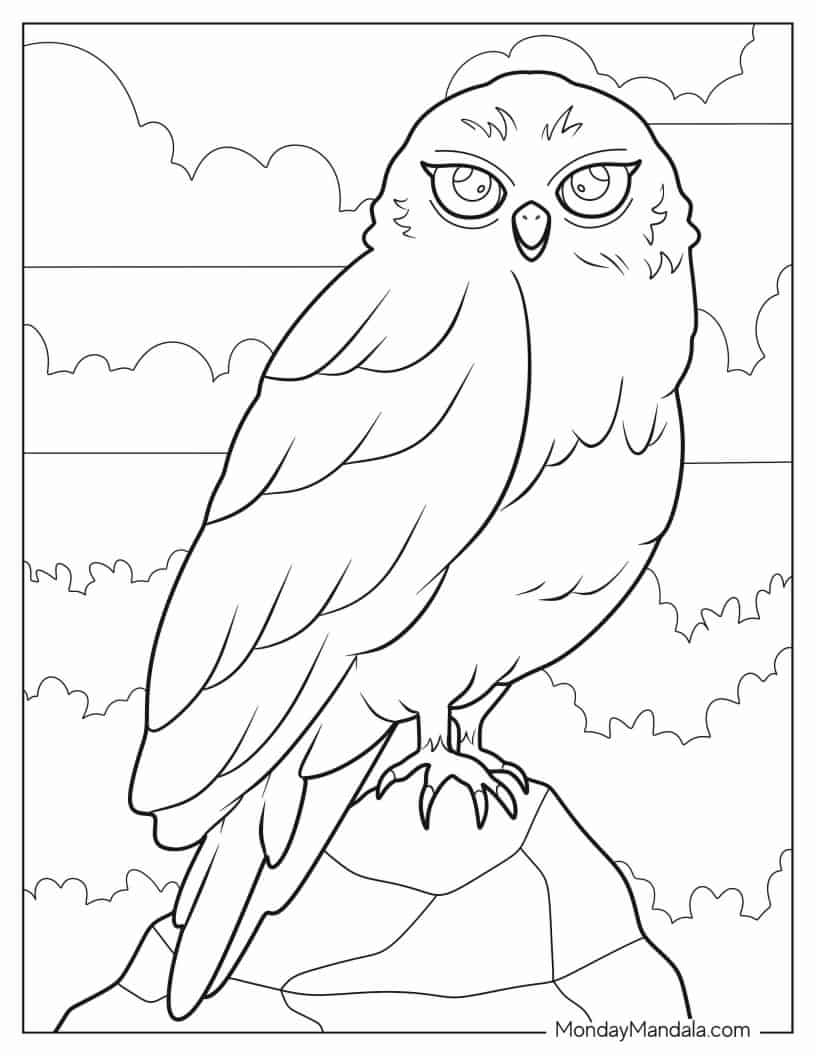 Coloring Sheet Of Owl Sitting On Rock coloring page