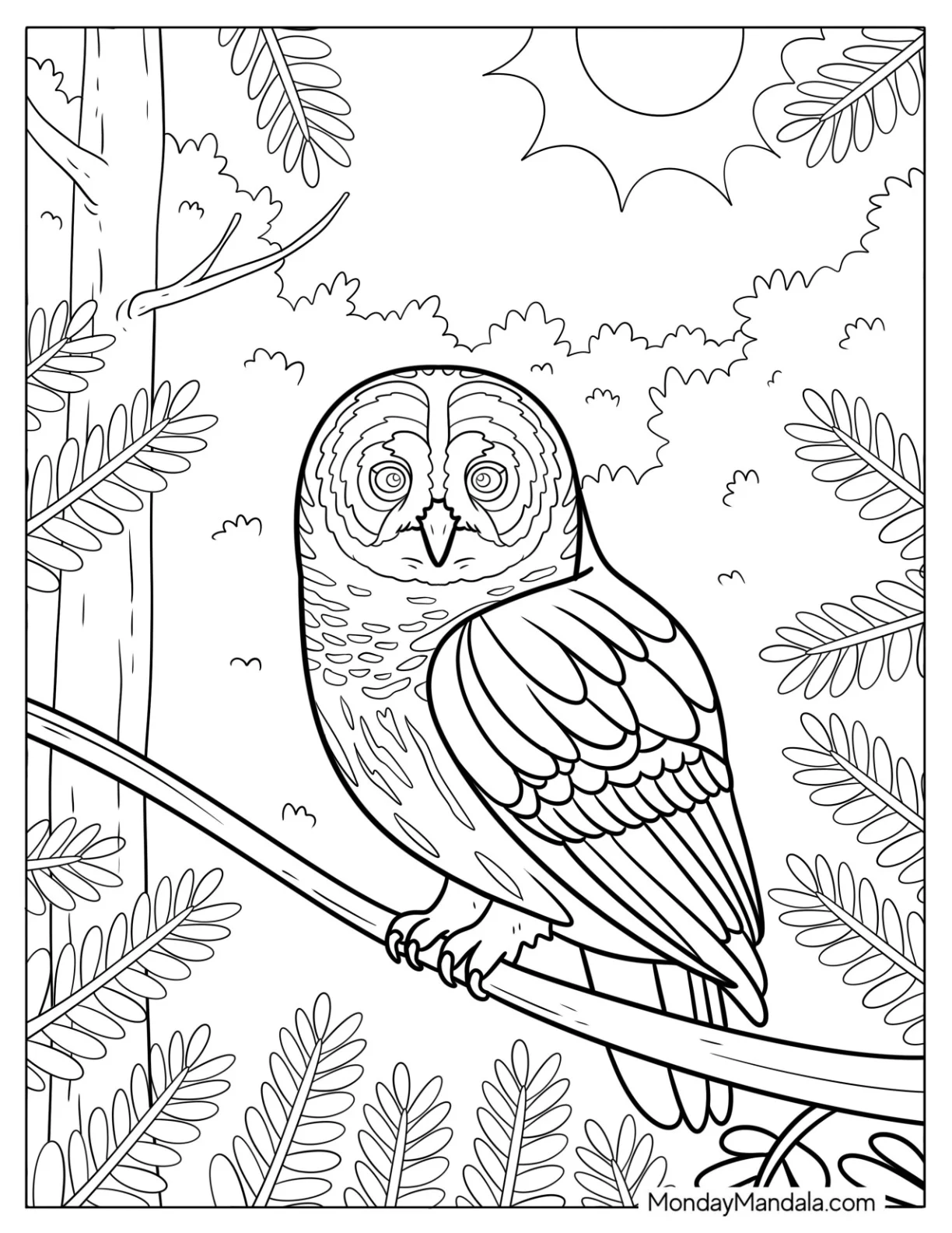 Detailed Owl Coloring Page Resting on a Tree Branch coloring page