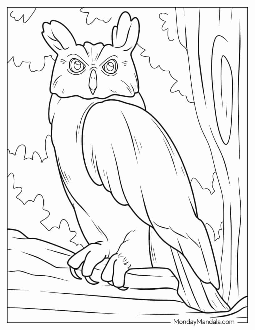 Eurasian Eagle-Owl Coloring Sheet coloring page
