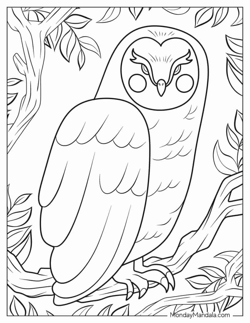 Great Grey Owl To Color coloring page — printable line art