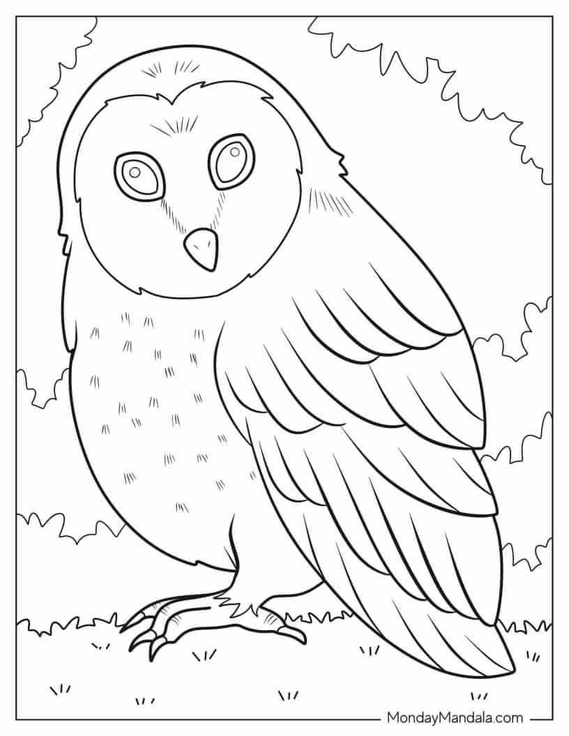 Large Owl Walking On Forrest Floor coloring page