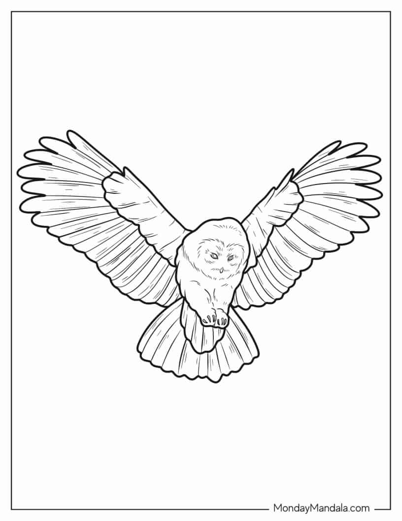 Owl Coming In To Land coloring page