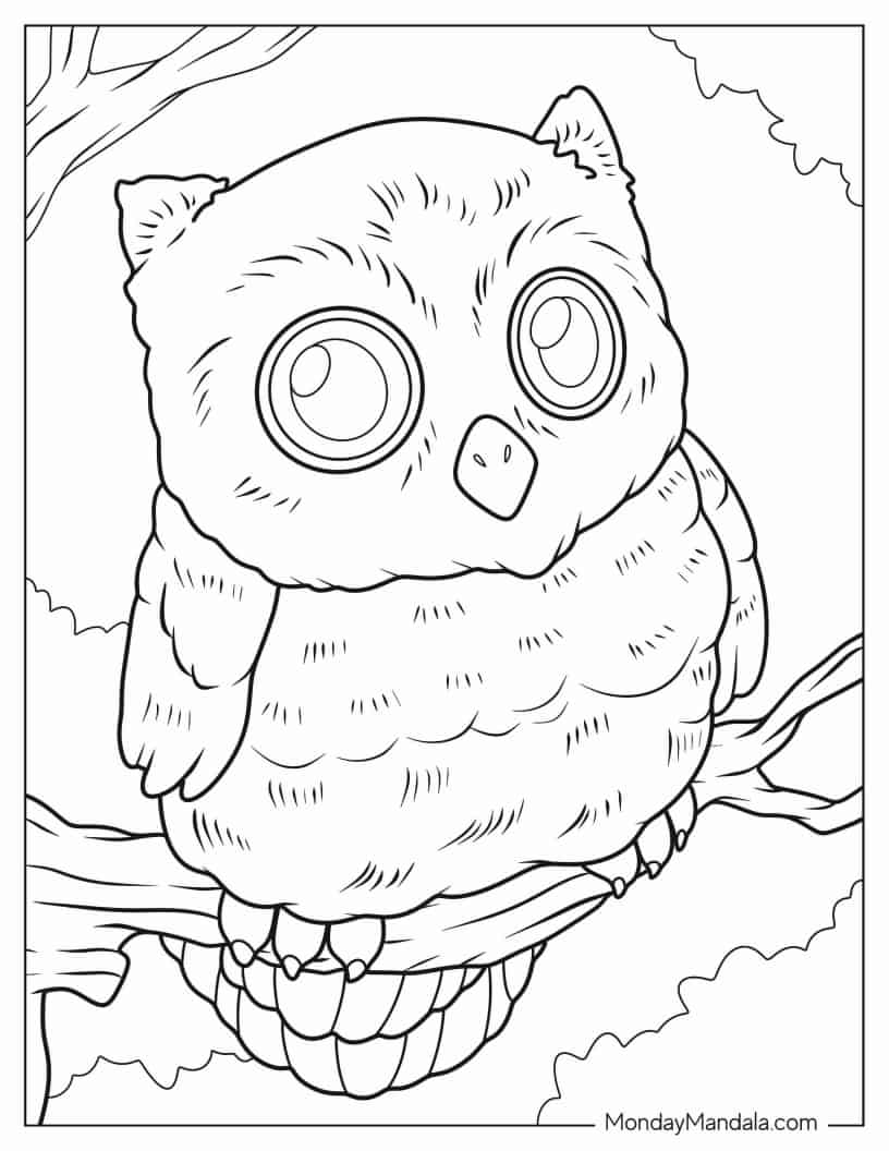 Owl Sitting On Branch With Big Eyes coloring page