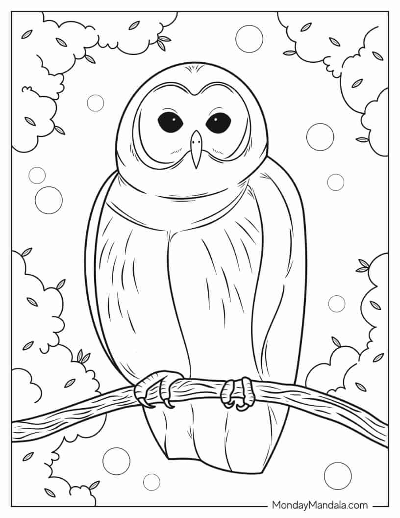Plump Looking Own With Sharp Claws coloring page