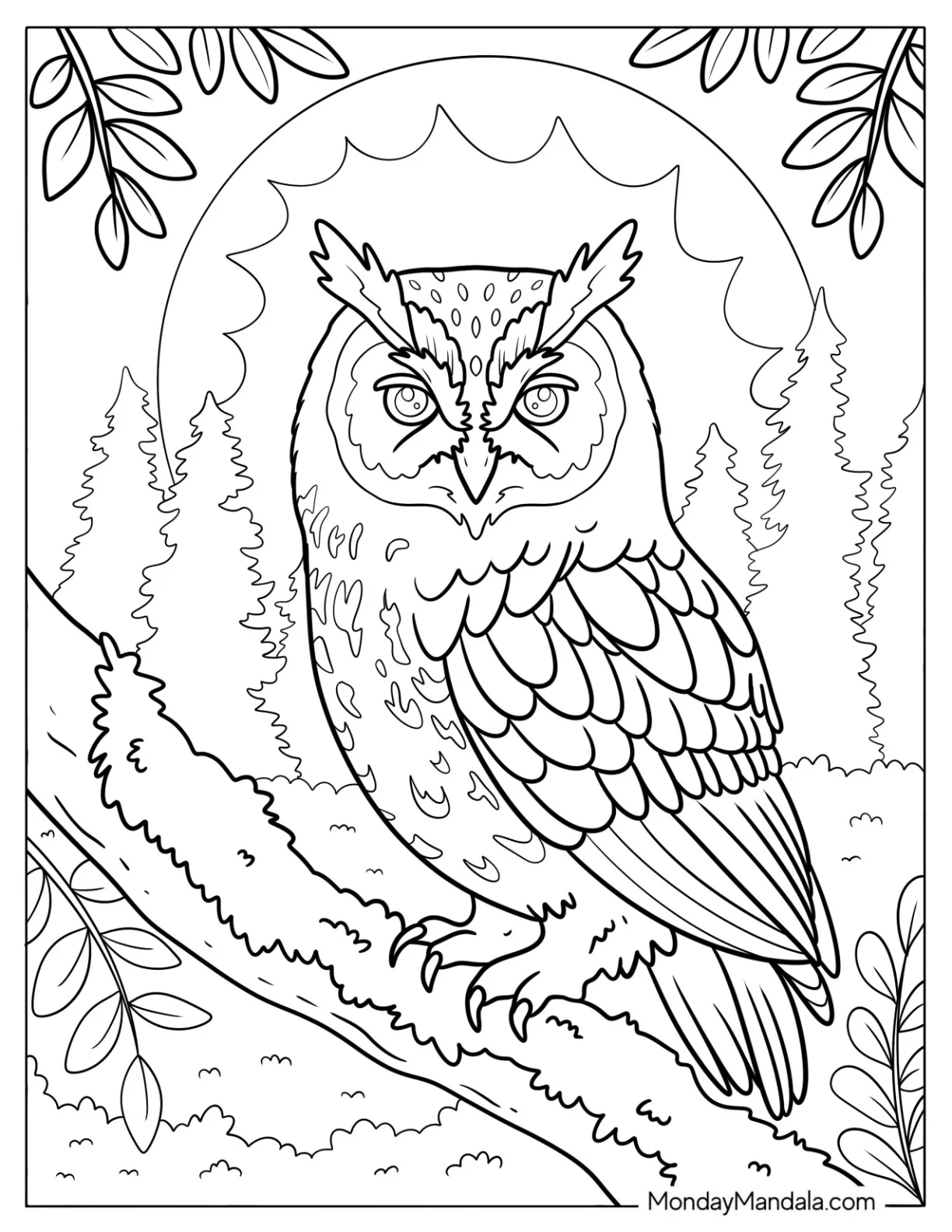 Realistic Owl Coloring Page in the Forest at Night coloring page