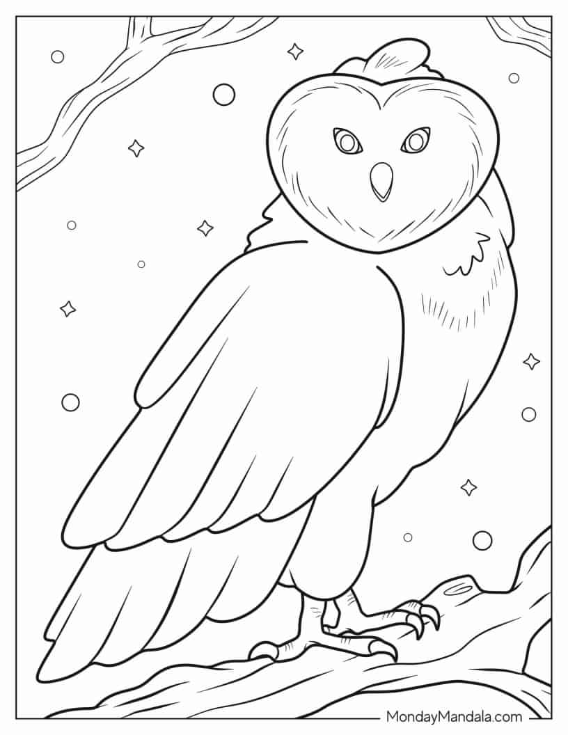Simple Barn Owl In Snow To Color coloring page