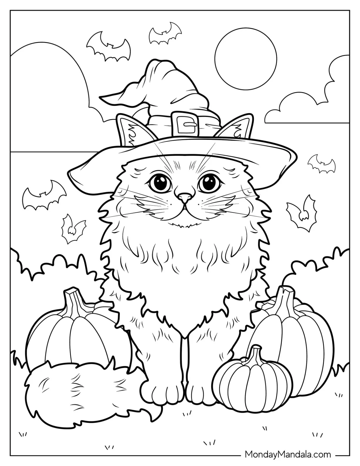 Furry Cat Sitting Next To Pumpkins Coloring Page coloring page