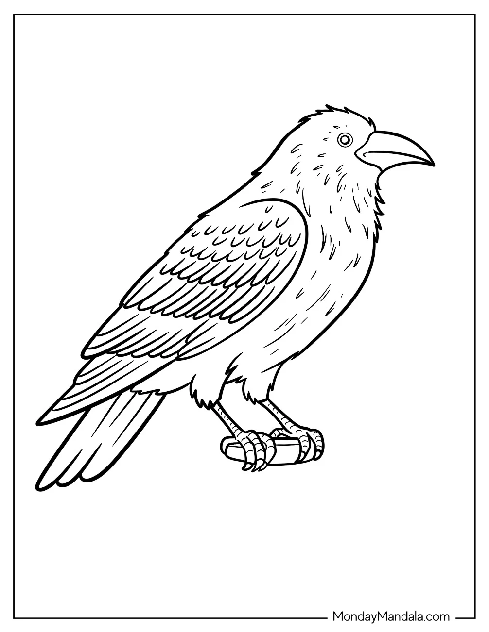 Detailed Side View of Adult Raven Coloring Page coloring page — printable line art