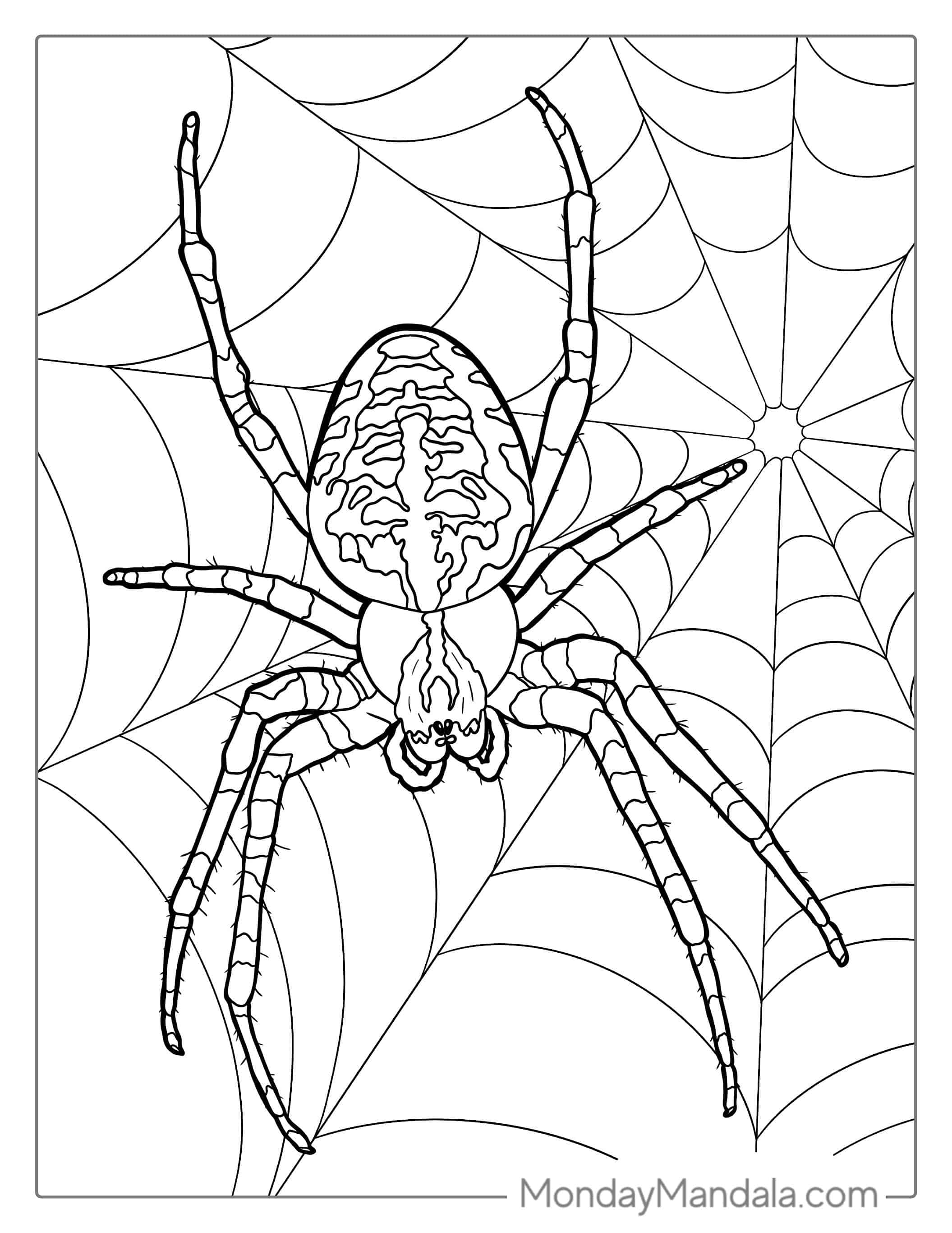 Big Spider On Web Coloring Page coloring page