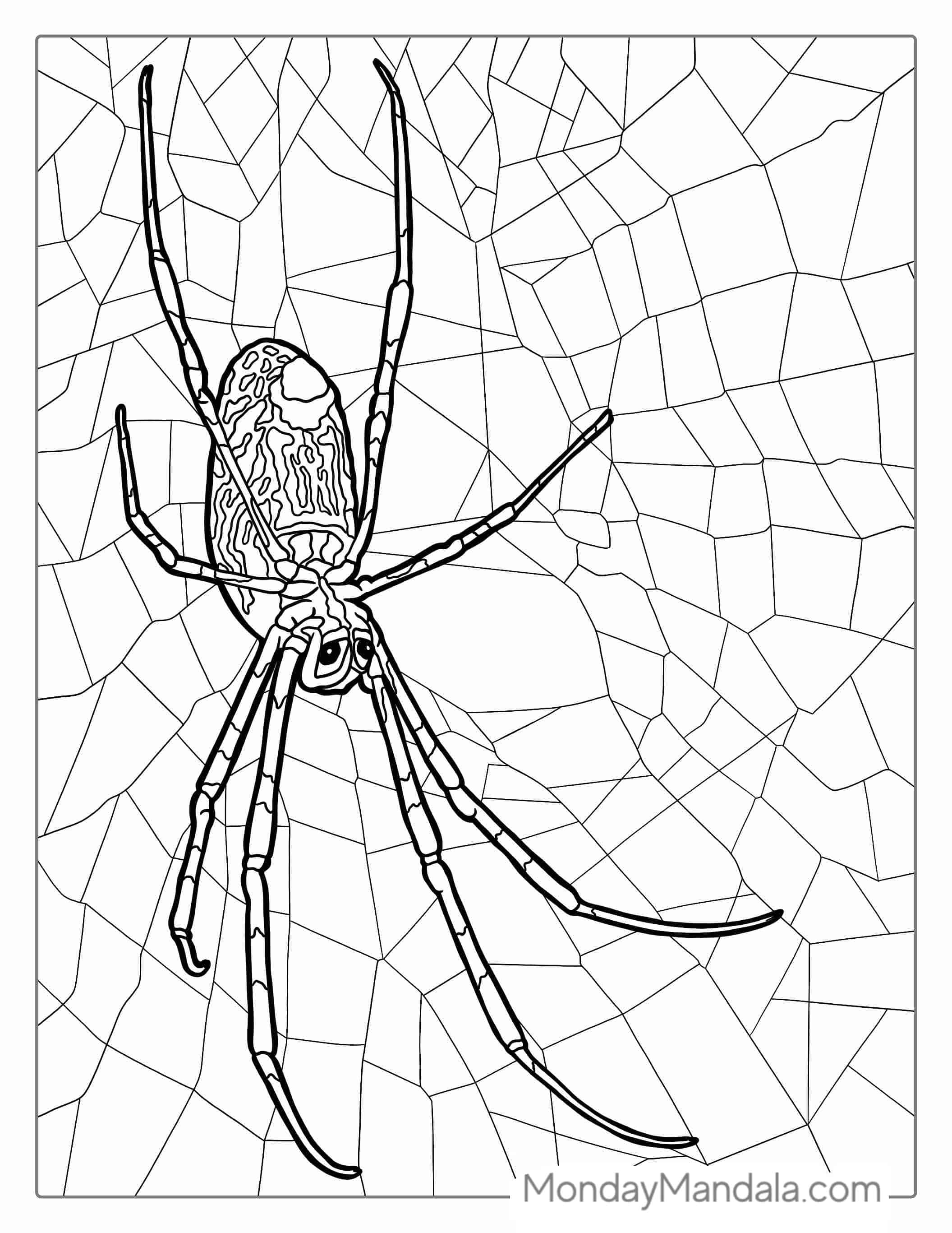 Brown Spider Coloring Page coloring page