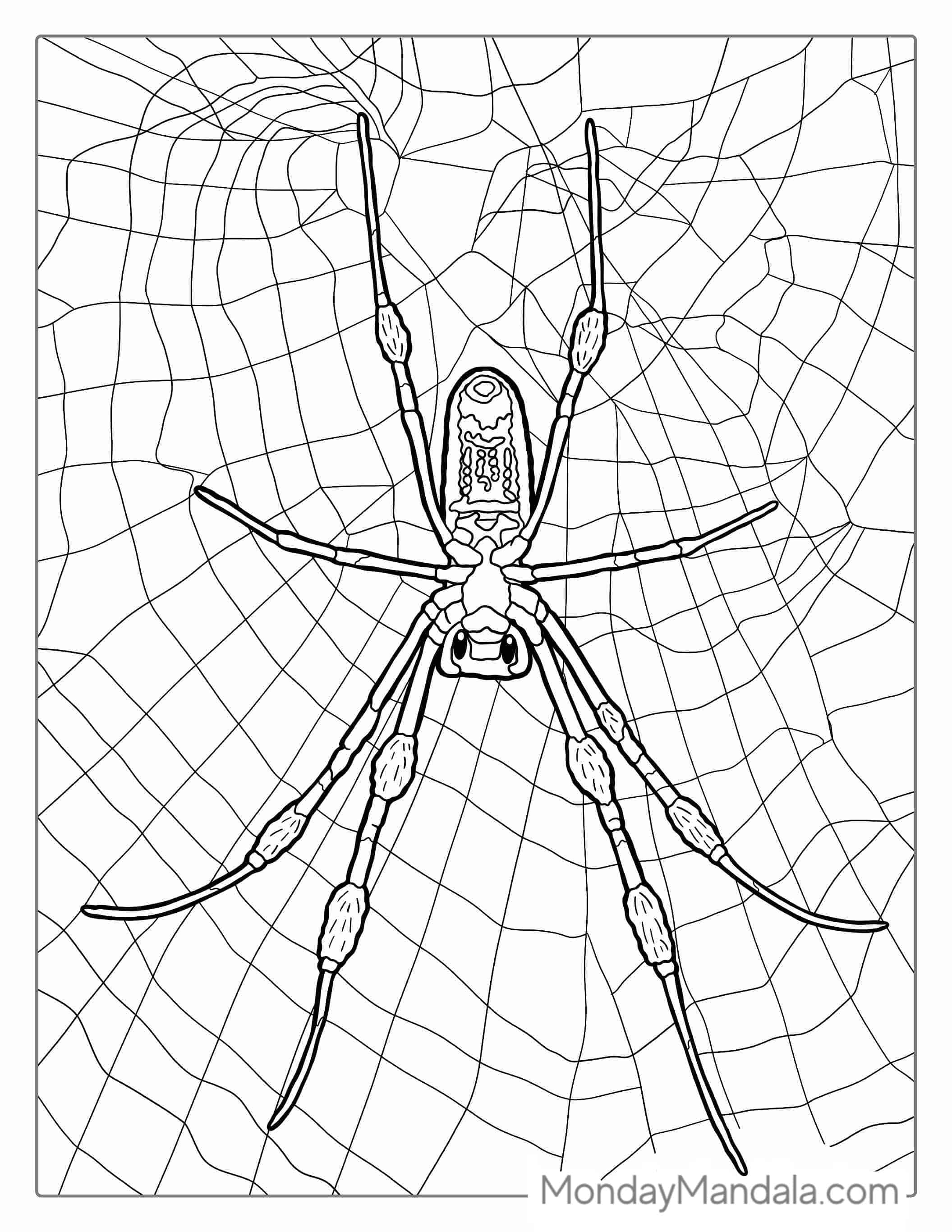 Brown Spider Coloring Sheet coloring page