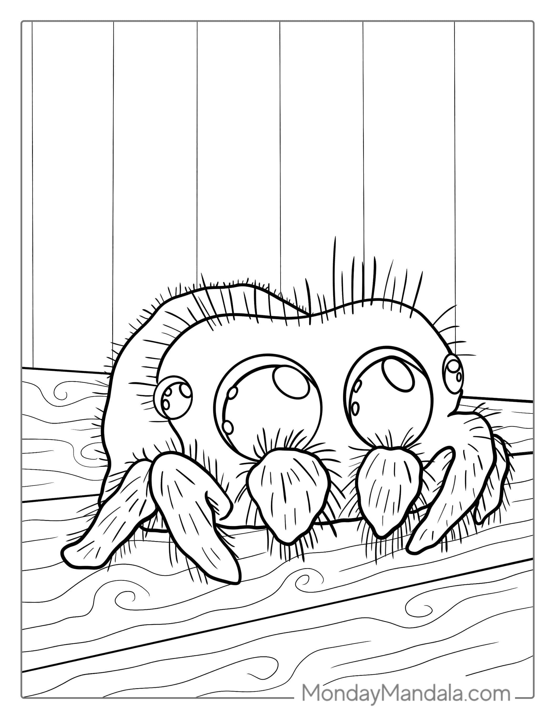 Cute Jumping Spider Coloring Page For Kids coloring page