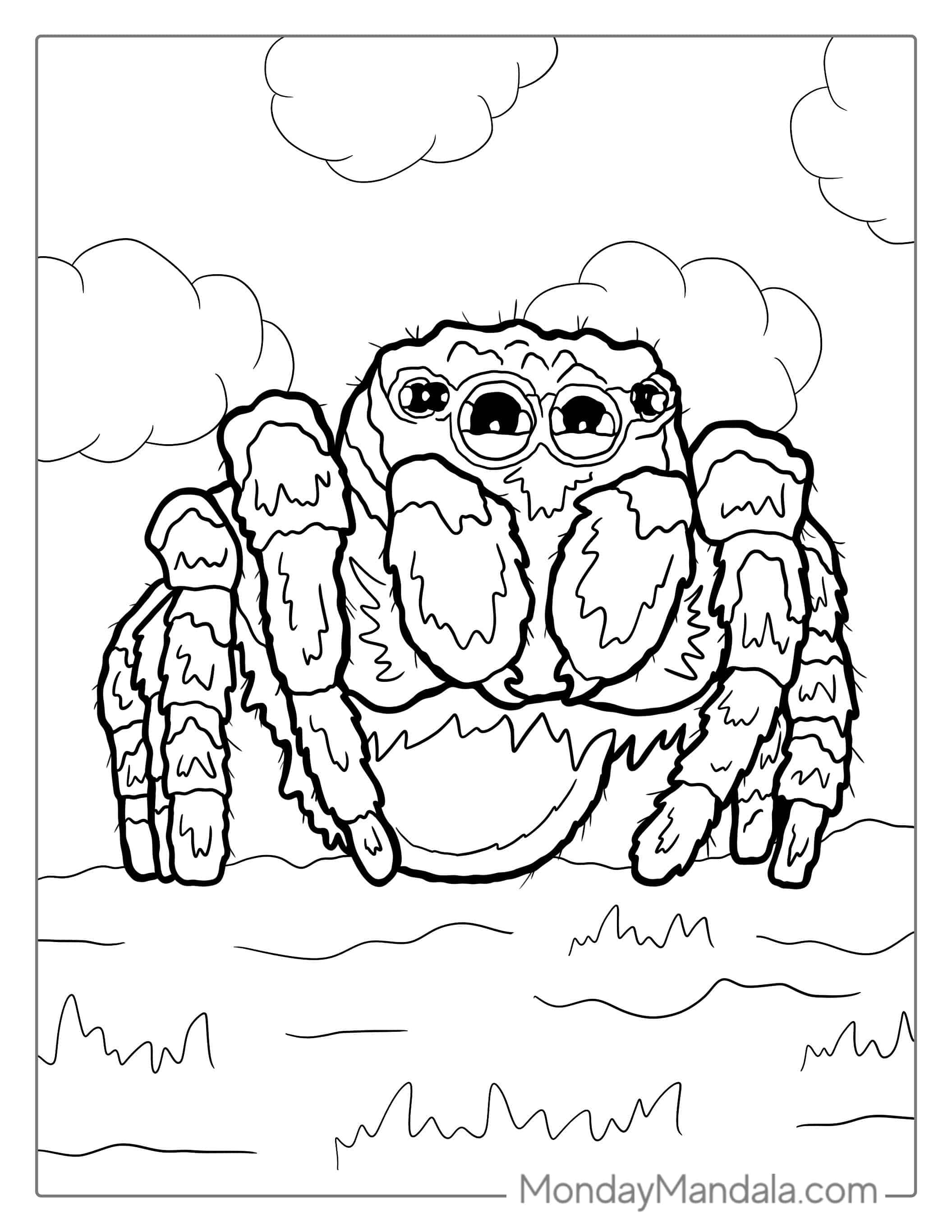 Cute Jumping Spider Coloring Page coloring page